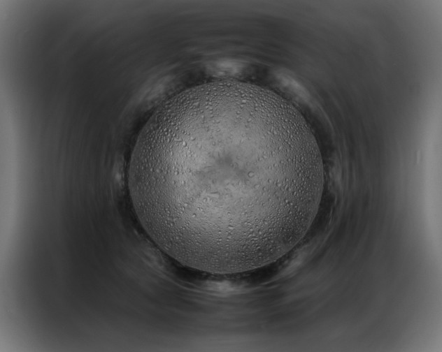X0000086990561200704161508