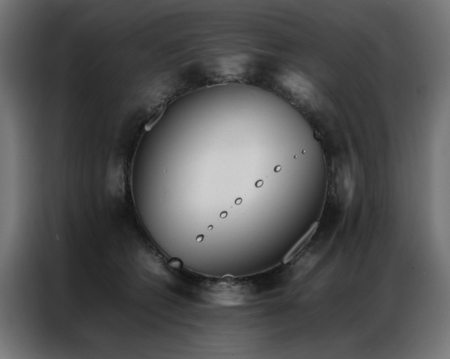 X0000086990562200704161508