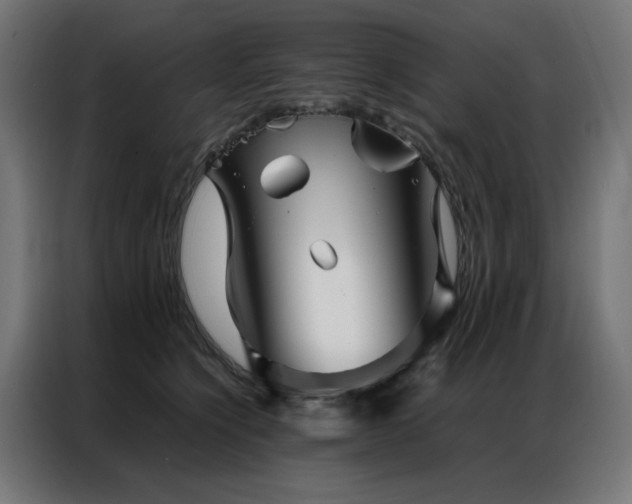 X0000086990564200704161508