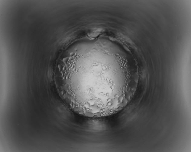 X0000086990565200704161508