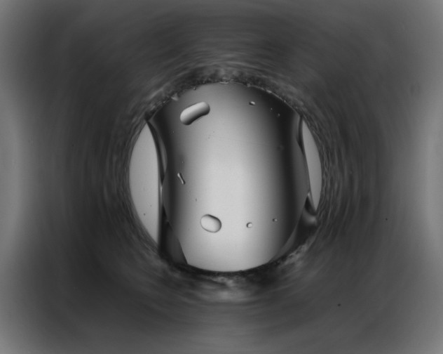 X0000086990566200704161508