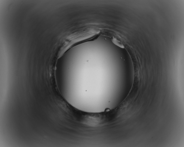 X0000086990567200704161508