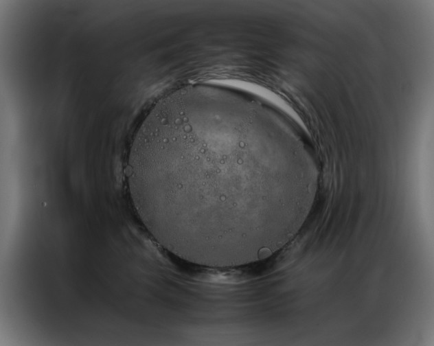 X0000086990569200704161508
