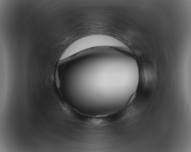 X0000086990570200704161508