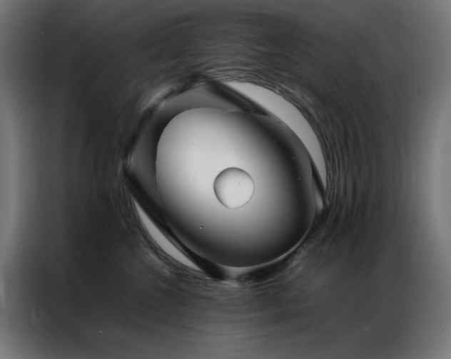 X0000086990572200704161508