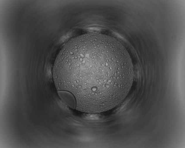X0000086990573200704161508