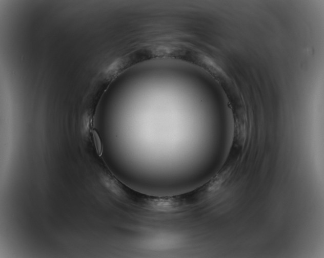 X0000086990574200704161508