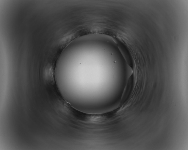X0000086990575200704161508