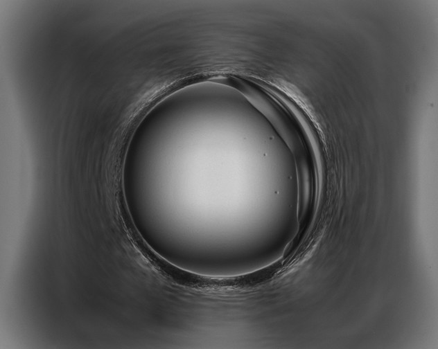 X0000086990577200704161507