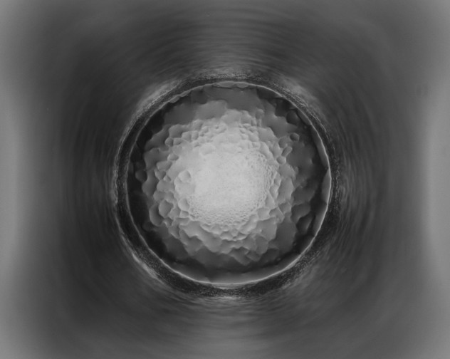 X0000086990578200704161507
