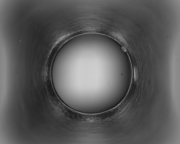 X0000086990579200704161507