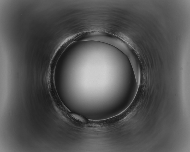 X0000086990580200704161507