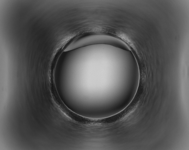 X0000086990581200704161507