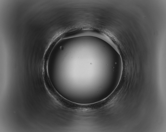 X0000086990582200704161507
