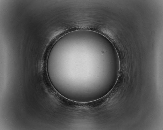 X0000086990583200704161507