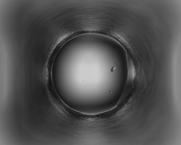 X0000086990584200704161507