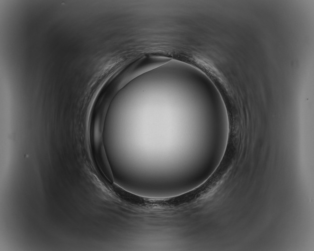 X0000086990585200704161507