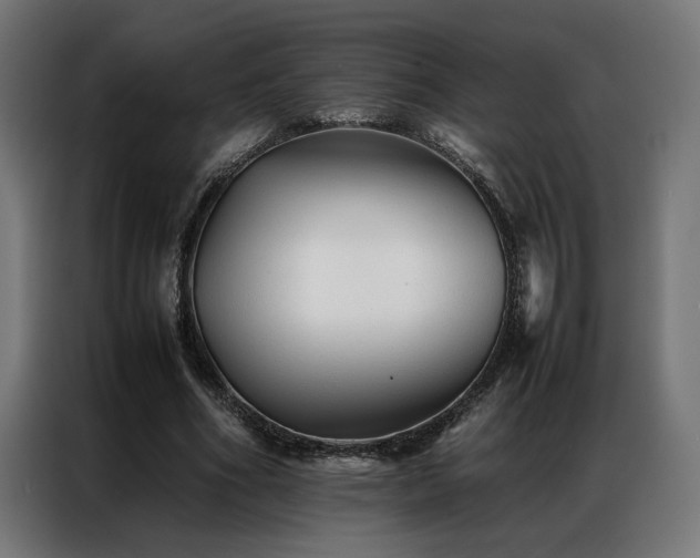 X0000086990586200704161507