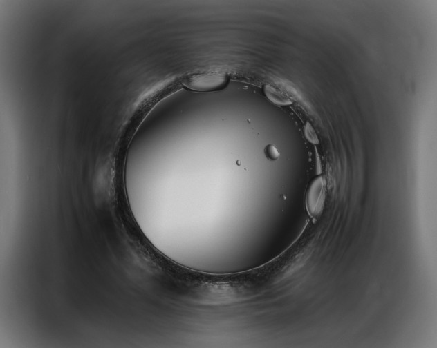 X0000086990588200704161507