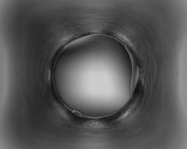 X0000086990589200704161507