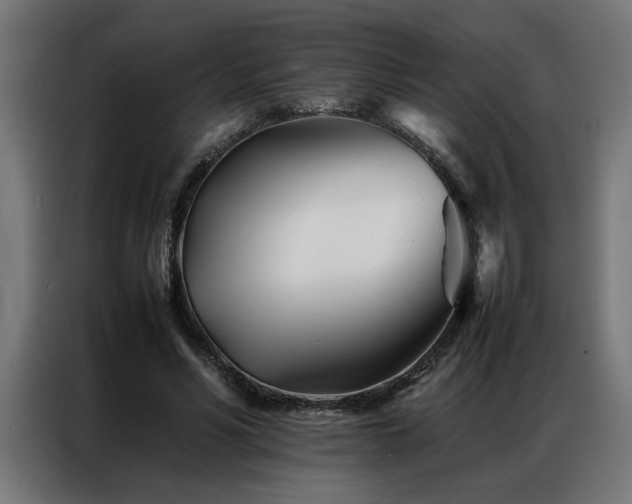 X0000086990590200704161507