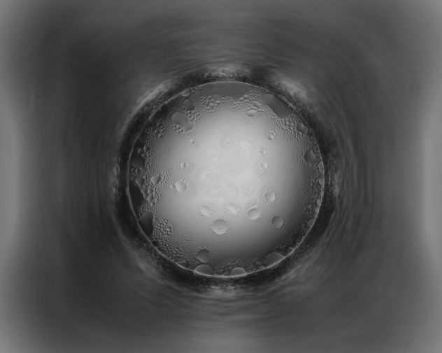X0000086990591200704161507