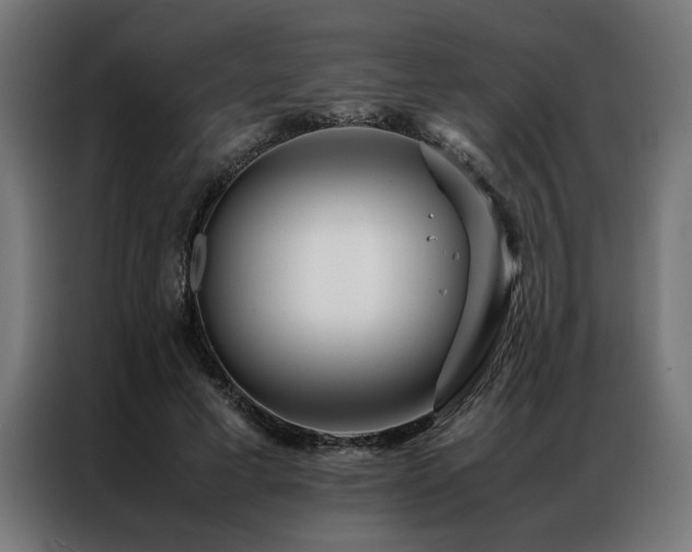 X0000086990593200704161507