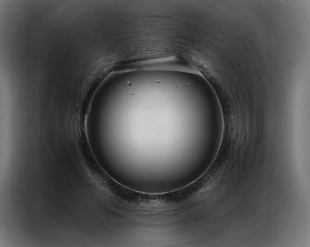 X0000086990594200704161507