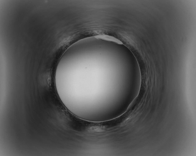 X0000086990595200704161507