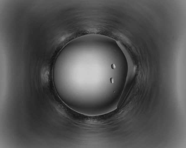 X0000086990596200704161507
