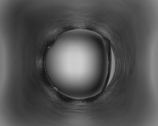 X0000086990597200704161507