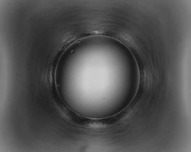 X0000086990598200704161507