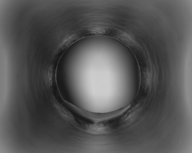 X0000086990600200704161507