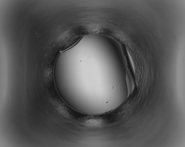 X0000086990601200704161507