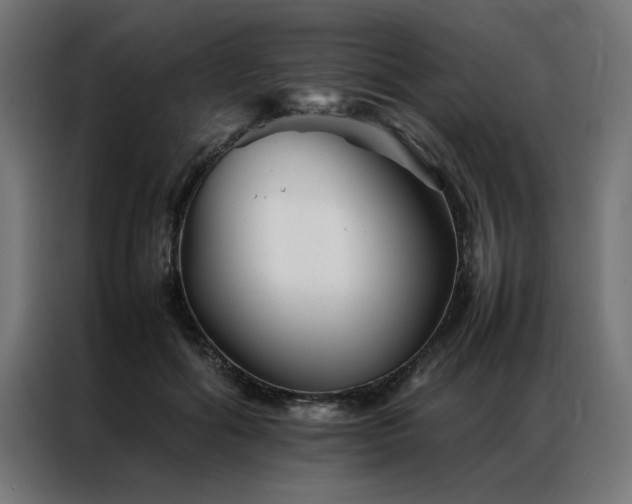 X0000086990602200704161507