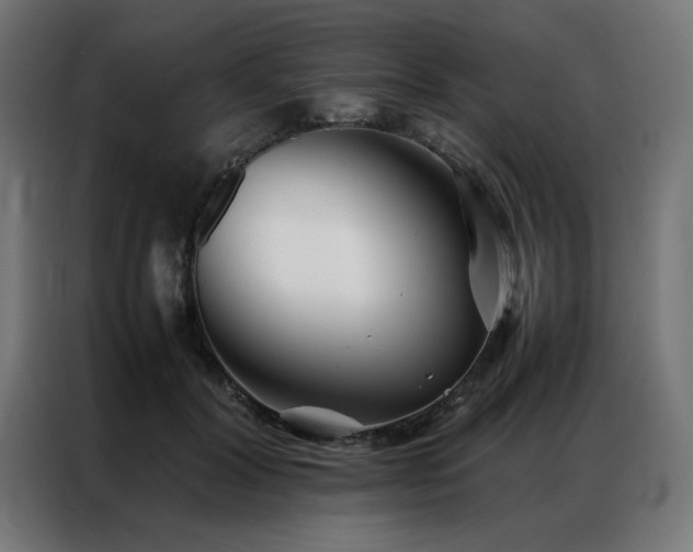 X0000086990604200704161507