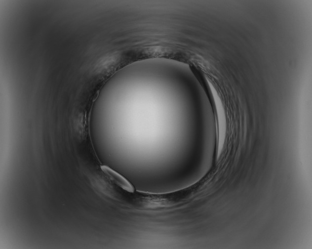 X0000086990605200704161507