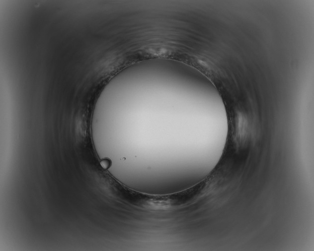 X0000086990606200704161507