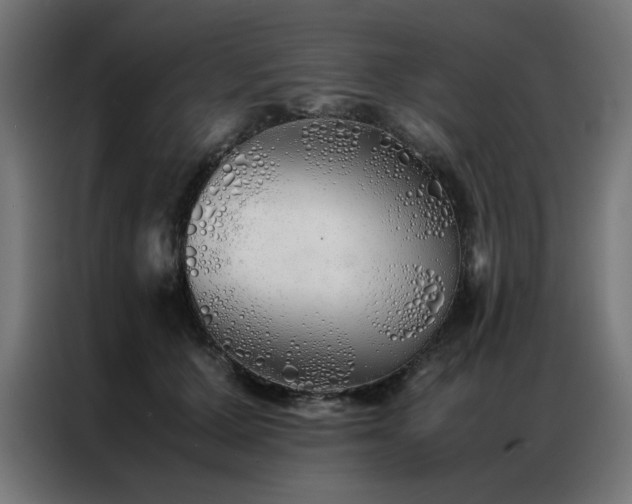 X0000086990607200704161507