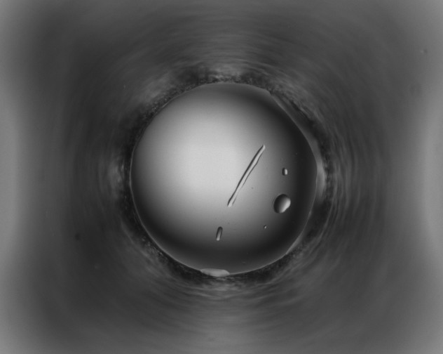 X0000086990608200704161507