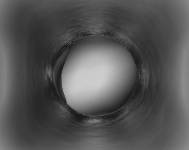 X0000086990610200704161507