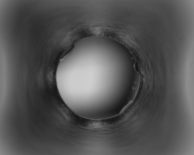 X0000086990611200704161507