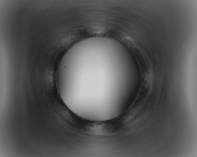 X0000086990612200704161507