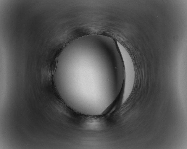 X0000086990613200704161507