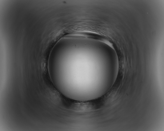 X0000086990615200704161507