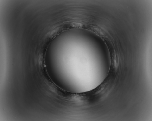 X0000086990616200704161507