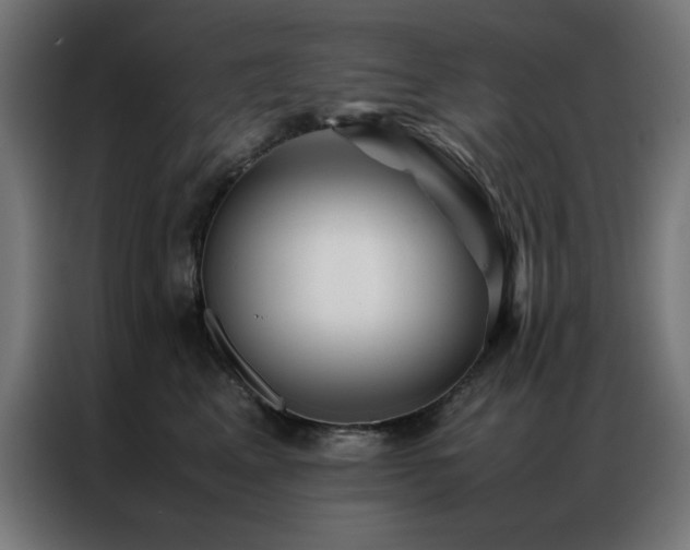 X0000086990617200704161507