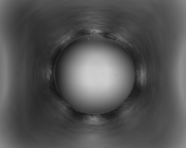 X0000086990618200704161507