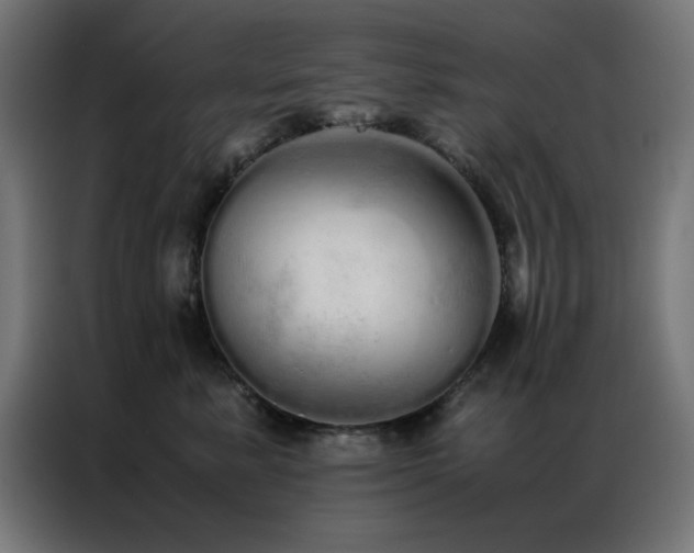 X0000086990619200704161507