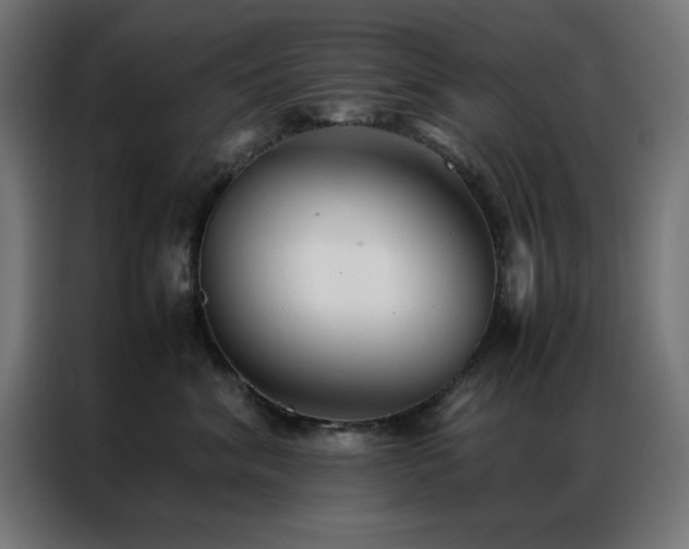 X0000086990620200704161507
